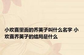 小欢喜里面的乔英子叫什么名字 小欢喜乔英子的结局是什么