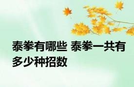 泰拳有哪些 泰拳一共有多少种招数