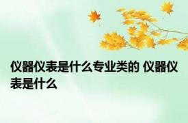 仪器仪表是什么专业类的 仪器仪表是什么