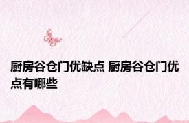厨房谷仓门优缺点 厨房谷仓门优点有哪些
