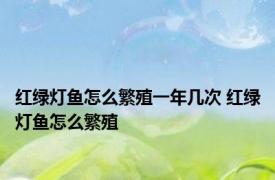 红绿灯鱼怎么繁殖一年几次 红绿灯鱼怎么繁殖