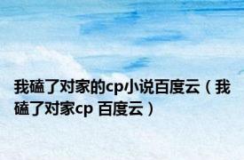 我磕了对家的cp小说百度云（我磕了对家cp 百度云）