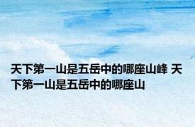 天下第一山是五岳中的哪座山峰 天下第一山是五岳中的哪座山