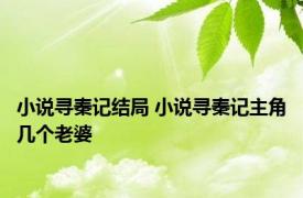 小说寻秦记结局 小说寻秦记主角几个老婆