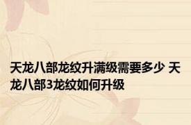 天龙八部龙纹升满级需要多少 天龙八部3龙纹如何升级