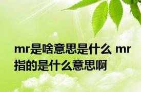 mr是啥意思是什么 mr指的是什么意思啊