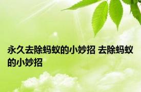 永久去除蚂蚁的小妙招 去除蚂蚁的小妙招