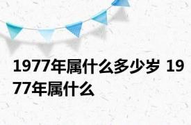 1977年属什么多少岁 1977年属什么