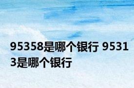 95358是哪个银行 95313是哪个银行