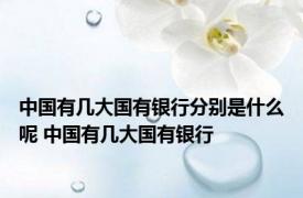 中国有几大国有银行分别是什么呢 中国有几大国有银行