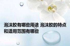 泡沫胶有哪些用途 泡沫胶的特点和适用范围有哪些