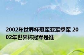 2002年世界杯冠军亚军季军 2002年世界杯冠军是谁