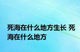 死海在什么地方生长 死海在什么地方