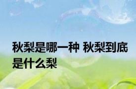 秋梨是哪一种 秋梨到底是什么梨