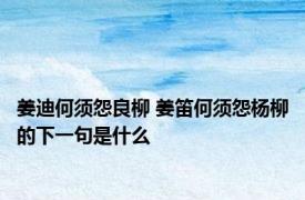 姜迪何须怨良柳 姜笛何须怨杨柳的下一句是什么