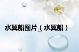 水翼船图片（水翼船）