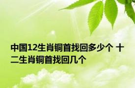 中国12生肖铜首找回多少个 十二生肖铜首找回几个