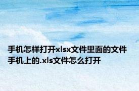 手机怎样打开xlsx文件里面的文件 手机上的.xls文件怎么打开