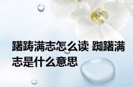 躇踌满志怎么读 踟躇满志是什么意思