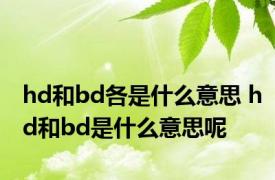 hd和bd各是什么意思 hd和bd是什么意思呢