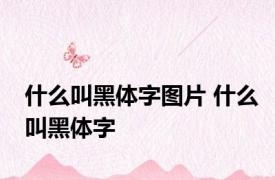 什么叫黑体字图片 什么叫黑体字