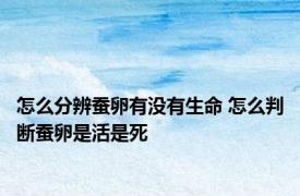 怎么分辨蚕卵有没有生命 怎么判断蚕卵是活是死