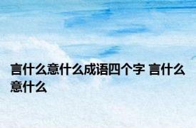 言什么意什么成语四个字 言什么意什么