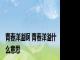 青春洋溢啊 青春洋溢什么意思