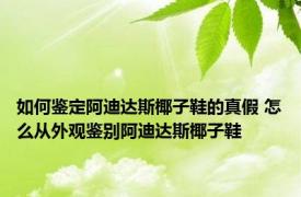如何鉴定阿迪达斯椰子鞋的真假 怎么从外观鉴别阿迪达斯椰子鞋