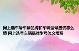 网上选车号车辆品牌和车辆型号应该怎么填 网上选号车辆品牌型号怎么填写
