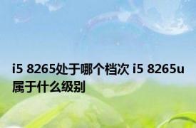 i5 8265处于哪个档次 i5 8265u属于什么级别