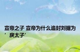 宣帝之子 宣帝为什么追封刘据为’戾太子’