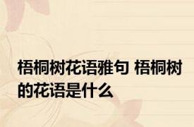梧桐树花语雅句 梧桐树的花语是什么