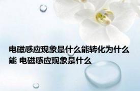 电磁感应现象是什么能转化为什么能 电磁感应现象是什么