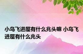 小鸟飞进屋有什么兆头嘛 小鸟飞进屋有什么兆头