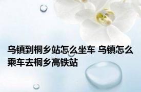 乌镇到桐乡站怎么坐车 乌镇怎么乘车去桐乡高铁站
