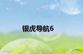 银虎导航6