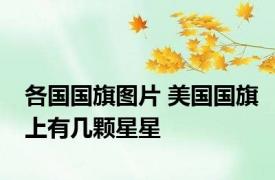 各国国旗图片 美国国旗上有几颗星星