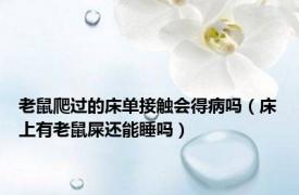 老鼠爬过的床单接触会得病吗（床上有老鼠屎还能睡吗）