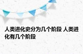 人类进化史分为几个阶段 人类进化有几个阶段