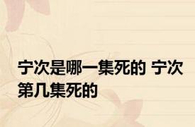 宁次是哪一集死的 宁次第几集死的