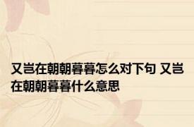 又岂在朝朝暮暮怎么对下句 又岂在朝朝暮暮什么意思