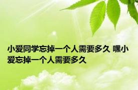 小爱同学忘掉一个人需要多久 嘿小爱忘掉一个人需要多久