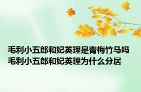 毛利小五郎和妃英理是青梅竹马吗 毛利小五郎和妃英理为什么分居