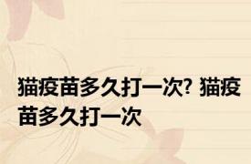 猫疫苗多久打一次? 猫疫苗多久打一次