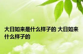 大日如来是什么样子的 大日如来什么样子的