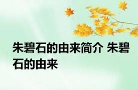 朱碧石的由来简介 朱碧石的由来