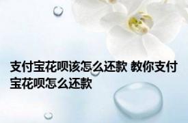 支付宝花呗该怎么还款 教你支付宝花呗怎么还款