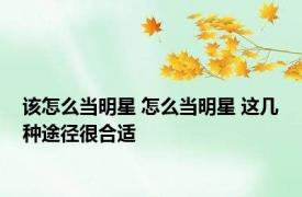 该怎么当明星 怎么当明星 这几种途径很合适