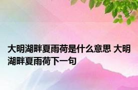 大明湖畔夏雨荷是什么意思 大明湖畔夏雨荷下一句